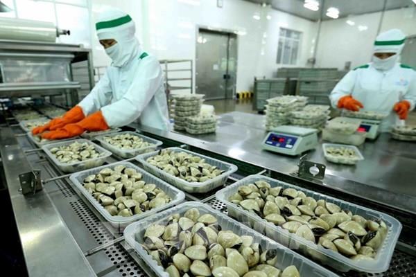 Sản phẩm ngao Việt Nam chinh phục gần 60 thị trường trên thế giới