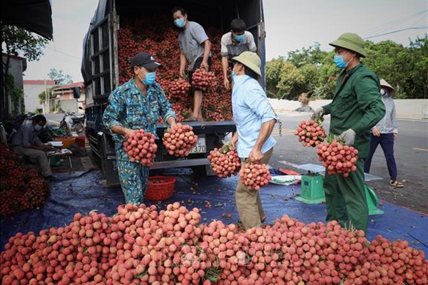 Bắc Giang đẩy mạnh quảng bá các nông sản chủ lực