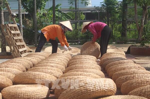 “Vương quốc cói” của cả nước chinh phục thị trường khó tính