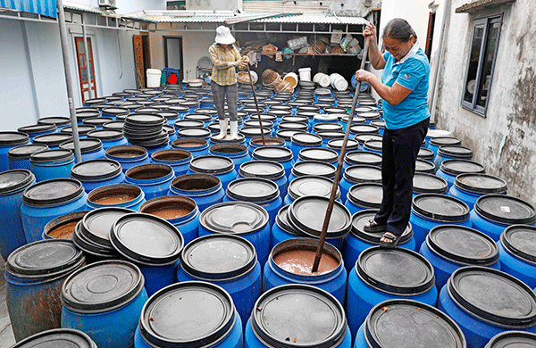 Tín dụng chính sách giúp người dân Quỳnh Lưu làm giàu chính đáng