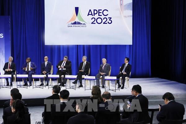 Việt Nam kêu gọi APEC và các đối tác đẩy mạnh hợp tác về năng lượng tái tạo