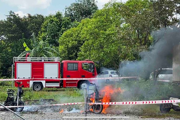 Xe ô tô nào được miễn phí sử dụng đường bộ từ 1/2/2024?