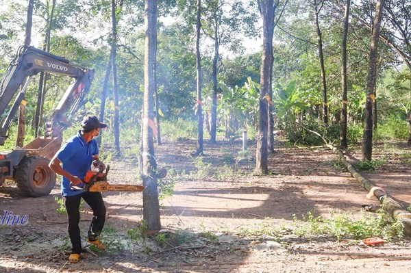 Người dân Đồng Xoài (Bình Phước) hiến đất làm đường giao thông