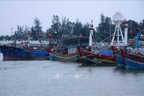 Ven biển từ Ninh Bình-Hà Tĩnh nước dâng cao từ 0,5- 1,5m do ảnh hưởng bão số 10