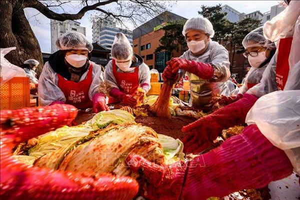 Hàn Quốc: Xuất khẩu kim chi năm 2023 dự kiến cao kỷ lục 