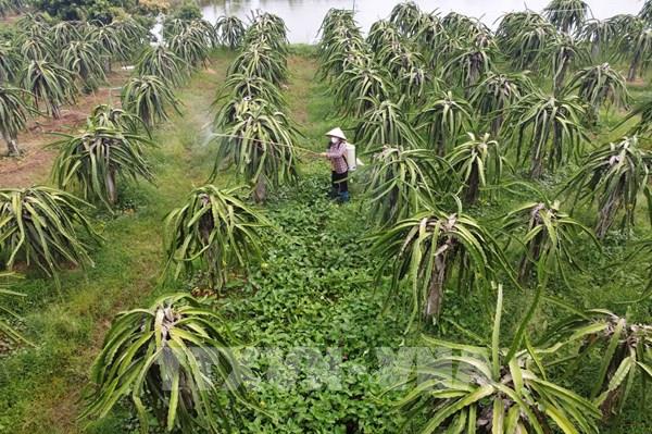 Hiệu quả từ nguồn vốn tín dụng chính sách ủy thác qua Hội Nông dân