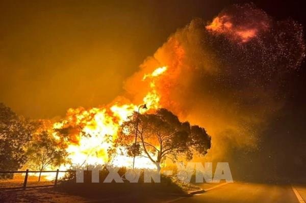 Cháy rừng tại Australia thiêu rụi nhiều nhà ở