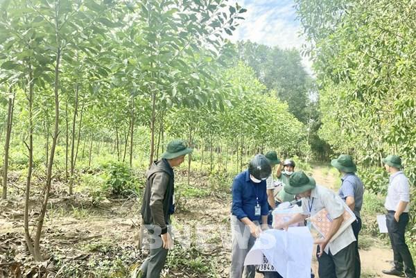 Sớm tháo gỡ “điểm nghẽn” mặt bằng cao tốc Biên Hòa - Vũng Tàu