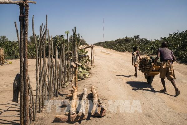 Nguyên nhân gây nắng nóng cực đoan ở Madagascar