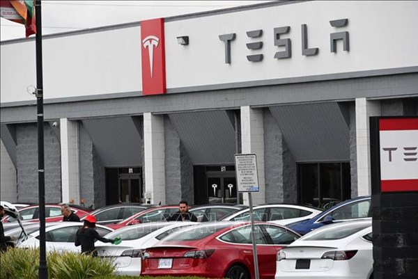 Tesla là cổ phiếu "đắt hàng" nhất ở Hàn Quốc