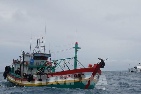 Phát hiện tàu vận chuyển trái phép 80.000 lít dầu trên vùng biển Cà Mau