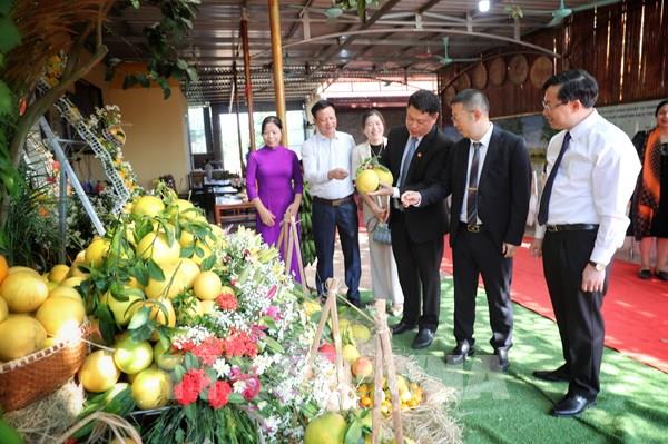 Bắc Giang đẩy mạnh cung ứng nông sản tới các kênh phân phối