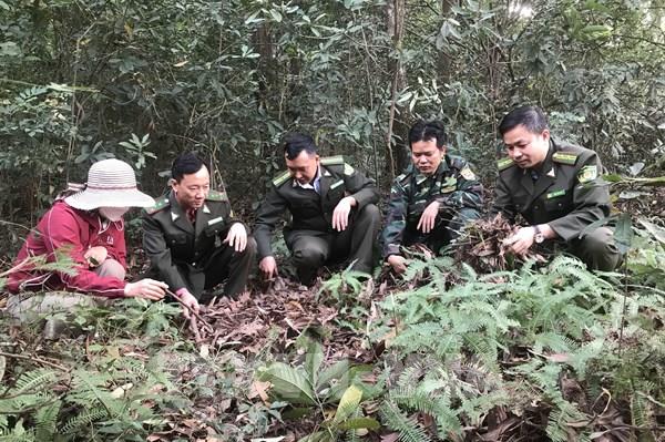 Di tích quốc gia đặc biệt cảnh báo cháy rừng cấp 5