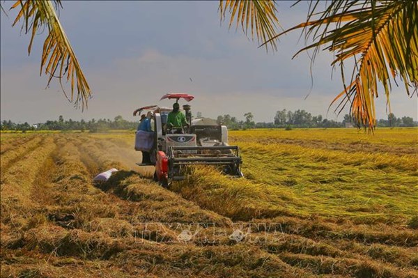 GRDP của Hậu Giang dẫn đầu khu vực ĐBS Cửu Long và xếp thứ 2 cả nước