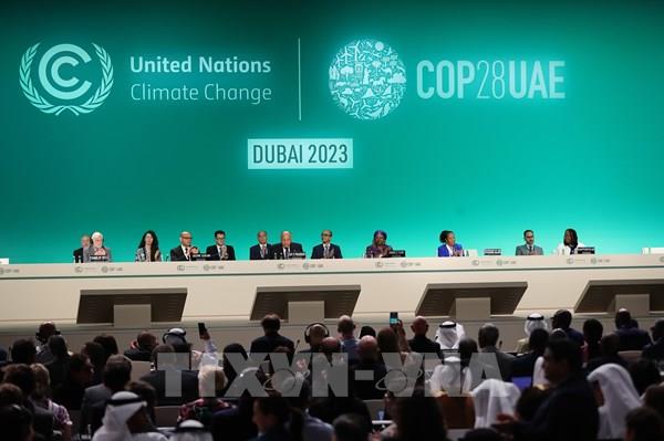 Kỳ vọng Hội nghị COP28 sẽ đánh dấu bước ngoặt mang tính chuyển đổi