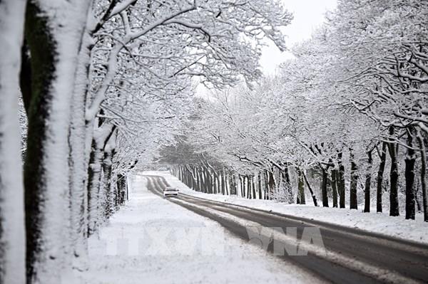 Anh cảnh báo băng tuyết trên diện rộng