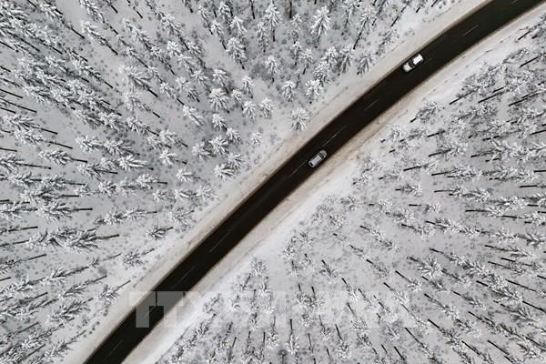 Đức: Ít nhất 4 người thiệt mạng trong các vụ tai nạn đường bộ do tuyết dày