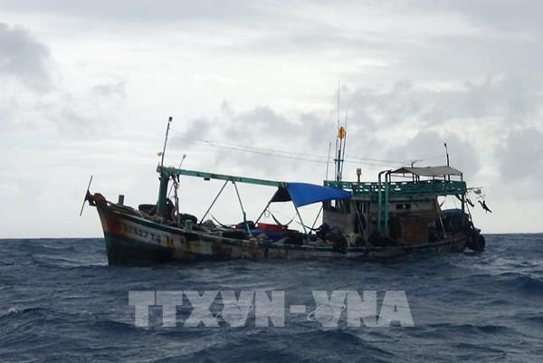 TP. Hồ Chí Minh xử lý hơn 10.000 lít dầu DO không rõ nguồn gốc