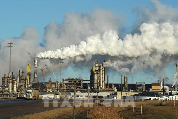 Bank of America: Giá dầu sẽ tiếp tục biến động trong năm 2024