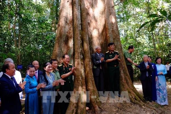 Bình Phước: Công nhận quần thể 162 cây di sản Việt Nam