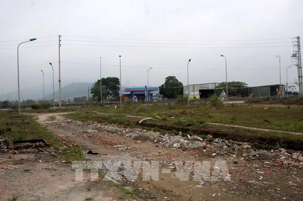 Không giao đất, cho thuê đất với doanh nghiệp nợ đọng tiền thuế