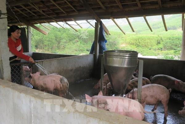 Triển khai thành công 20 chương trình tín dụng chính sách