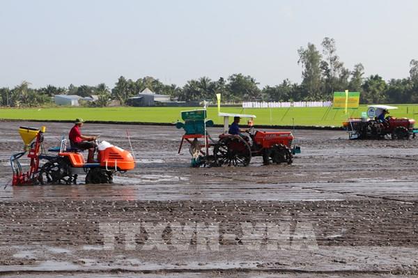 Khai mạc Festival Quốc tế ngành hàng lúa gạo Việt Nam - Hậu Giang 2023