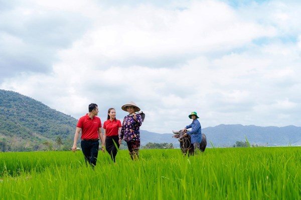 Agribank cung ứng dịch vụ thực hiện Đề án 1 triệu ha chuyên canh lúa