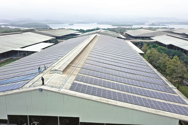 Việt Nam – EU hợp tác chuyển đổi sản xuất, năng lượng xanh