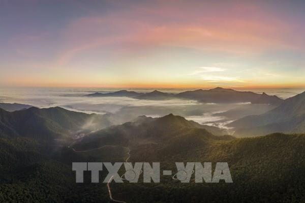 Chiêm ngưỡng Khu dự trữ Thiên nhiên Động Châu - Khe Nước Trong