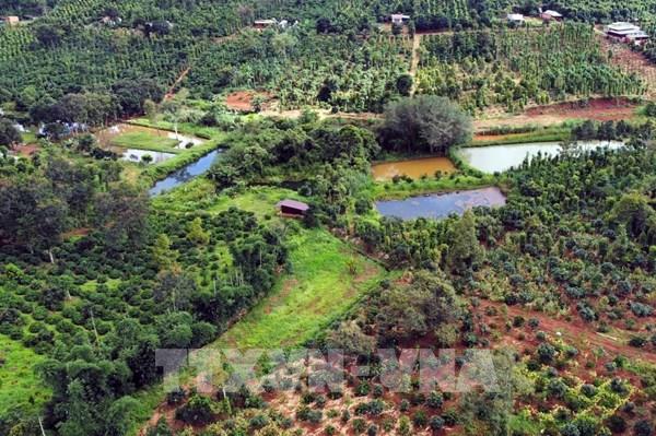 Người dân hiến đất sẽ được miễn phí đo đạc, cấp đổi sổ đỏ