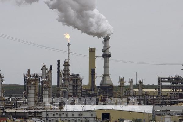 Thị trường dầu chứng kiến tuần tăng giá đầu tiên trong 8 tuần qua