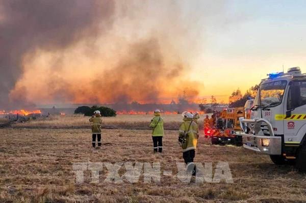 Australia cảnh báo cháy rừng ở nhiều khu vực do thời tiết nắng nóng