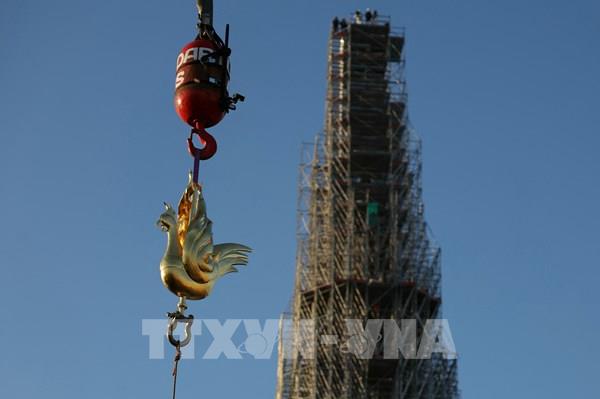 ​Tượng gà trống trở lại đỉnh tháp chuông Nhà thờ Đức Bà Paris