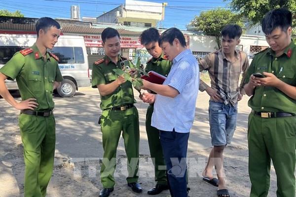 Xác minh chủ số hàng gồm 40 kg củ và lá giống sâm Ngọc Linh