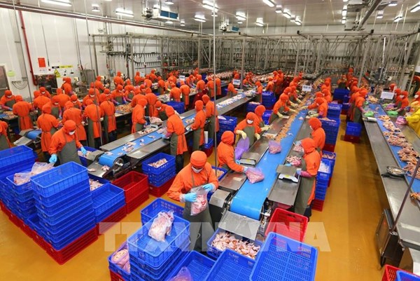 Hà Nội đẩy mạnh xúc tiến đầu tư thương mại: Bài 2 - Tăng cường kinh tế đối ngoại