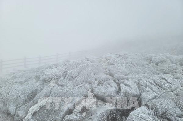 Hàn Quốc "đóng băng" trong đợt sóng lạnh từ Bắc Cực