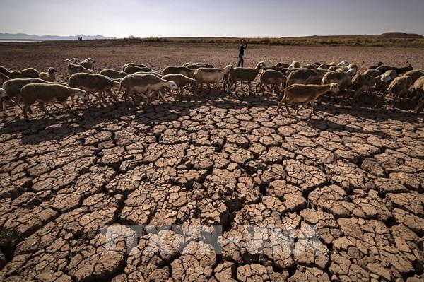 Maroc đối mặt với hạn hán năm thứ 6 liên tiếp