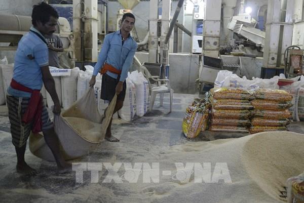 Giá gạo tăng khiến lạm phát vẫn dai dẳng ở châu Á