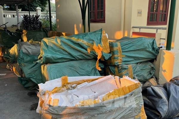 Bắt giữ xe chở hơn 3,8 tấn cá tầm không rõ nguồn gốc