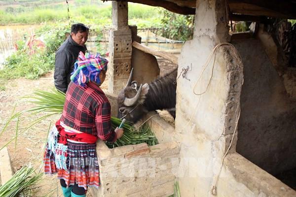 Dự báo thời tiết ngày mai 13/12: Bắc Bộ xuất hiện rét hại, vùng núi cao dưới 5 độ C