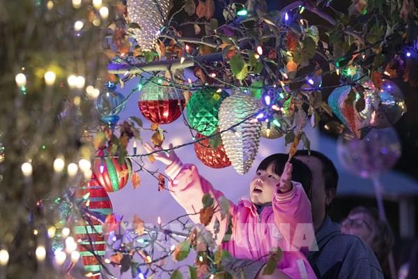 Việt Nam xuất khẩu hàng trang trí Giáng sinh nhiều nhất vào Mỹ