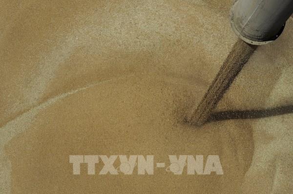 Khả năng Nga đạt mức xuất khẩu nông sản kỷ lục trong năm nay