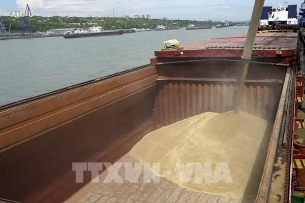 Kinh tế Nga ghi nhận các tín hiệu tích cực trước thềm năm 2024