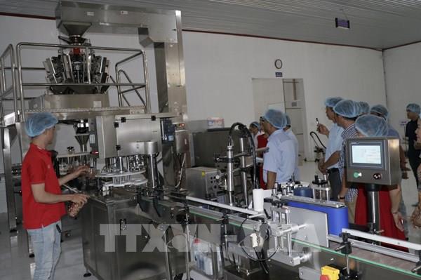 Bình Phước sản xuất sản phẩm hạt điều theo công nghệ mới