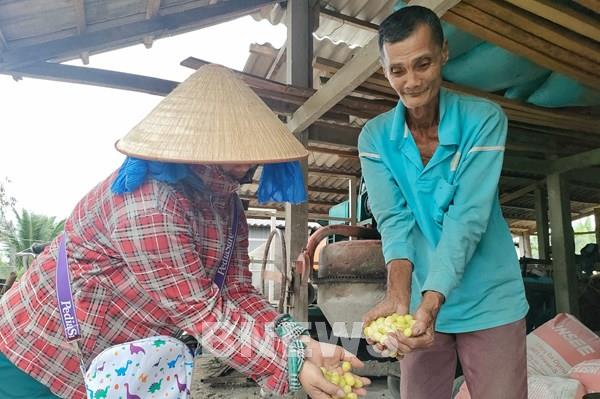 Nông sản làm mứt Tết vào mùa