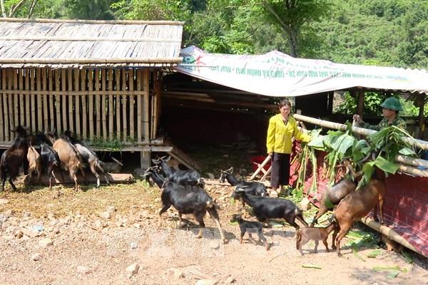 Tạo sinh kế cho đồng bào nghèo vùng biên