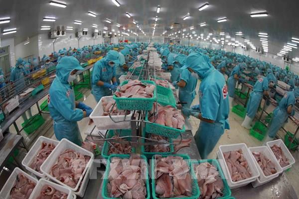 Vững vàng kinh tế Việt Nam