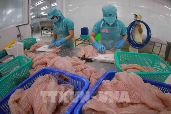Xuất khẩu tăng, nhưng lợi nhuận doanh nghiệp thủy sản giảm