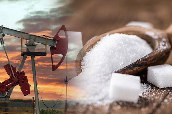 Giá đường bật tăng từ đáy của 8 tháng